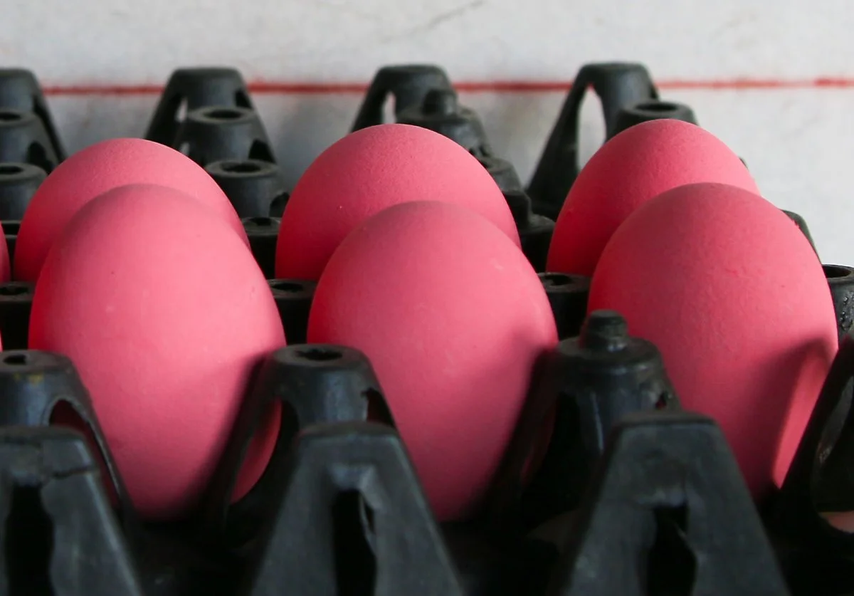 image_8658371341543985597911.jpg?type=w1200