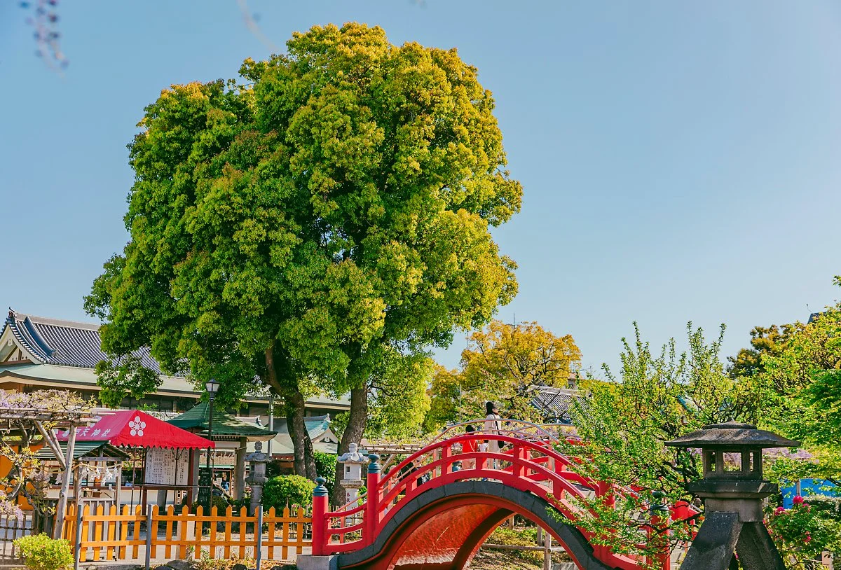 %EB%8F%84%EC%BF%84_%EC%B9%B4%EB%A9%94%EC%9D%B4%EB%8F%84_%ED%85%90%EC%A7%84%EC%83%A4_1.jpg?type=w1200