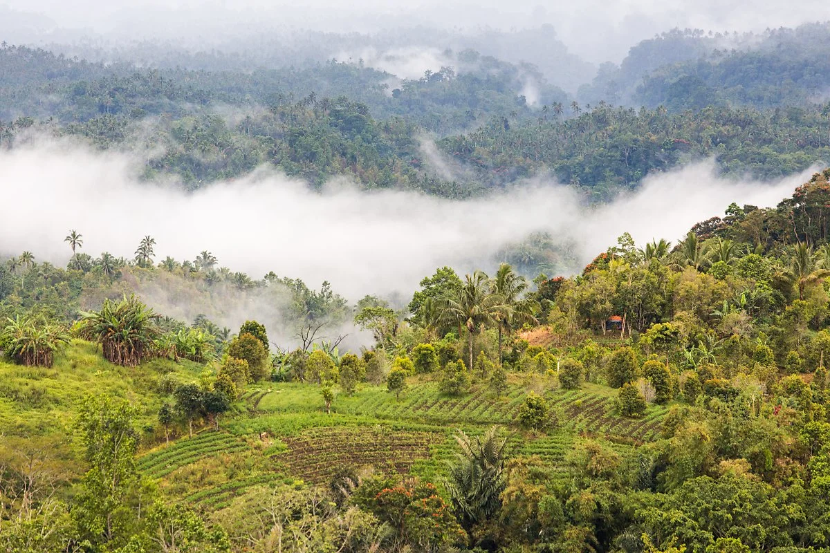 %EB%A7%88%EB%82%98%EB%8F%84_%EC%A0%84%EA%B2%BD.jpg?type=w1200