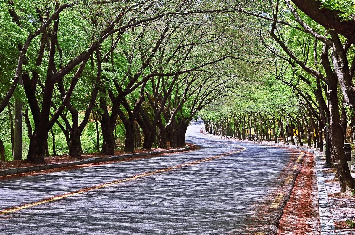 %ED%8C%94%EA%B3%B5%EC%82%B0%EC%88%9C%ED%99%98%EB%8F%84%EB%A1%9C%EA%B0%80%EB%A1%9C%EC%88%98%EA%B8%B8.JPG?type=w1200