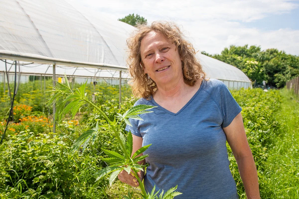 %EB%B6%88%EA%B0%80%EB%A6%AC%EC%95%84_%EB%B0%95%EC%8A%A4_%EC%82%AC%EC%A7%84.jpg?type=w1200