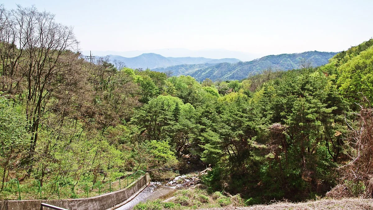 %EC%88%98%ED%83%9C%EC%A7%80_%EC%95%9E_%ED%92%8D%EA%B2%BD.JPG?type=w1200