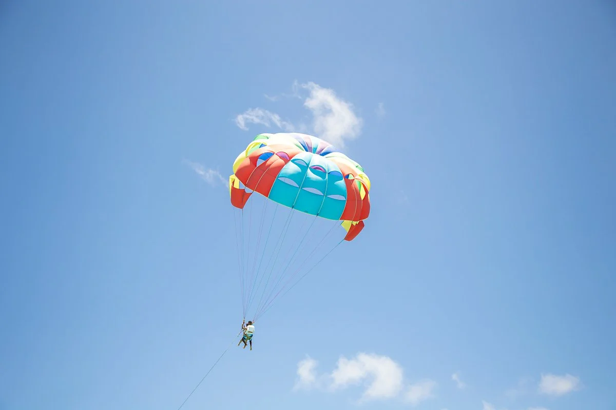 %ED%8C%8C%EB%9D%BC%EC%84%B8%EC%9D%BC%EB%A7%81_%282%29.JPG?type=w1200