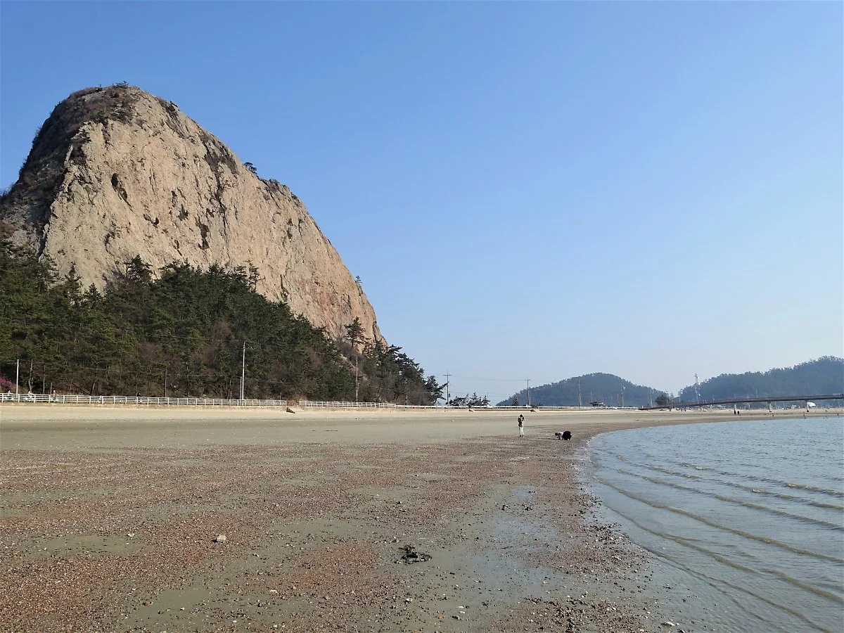 %EC%84%A0%EC%9C%A0%EB%8F%84_202004_%EA%B9%80%EC%84%A0%EC%A3%BC_%282%29_.jpg?type=w1200