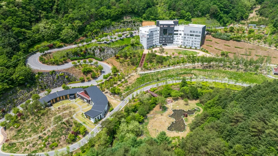 DJI_0680.jpg?type=w966