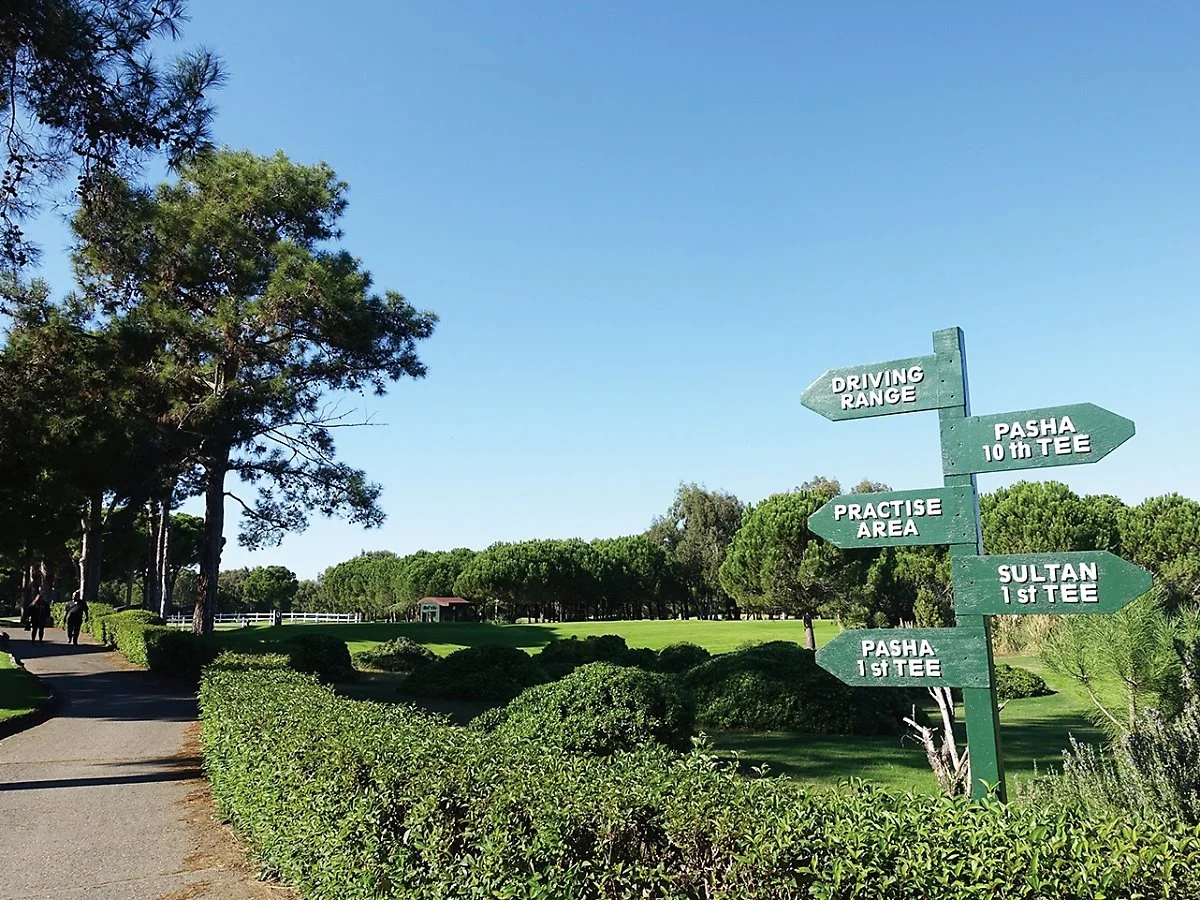 %EC%95%88%ED%83%88%EB%A6%AC%EC%95%84GC%EC%88%A0%ED%83%84%EC%BD%94%EC%8A%A4_%282%29.JPG?type=w1200