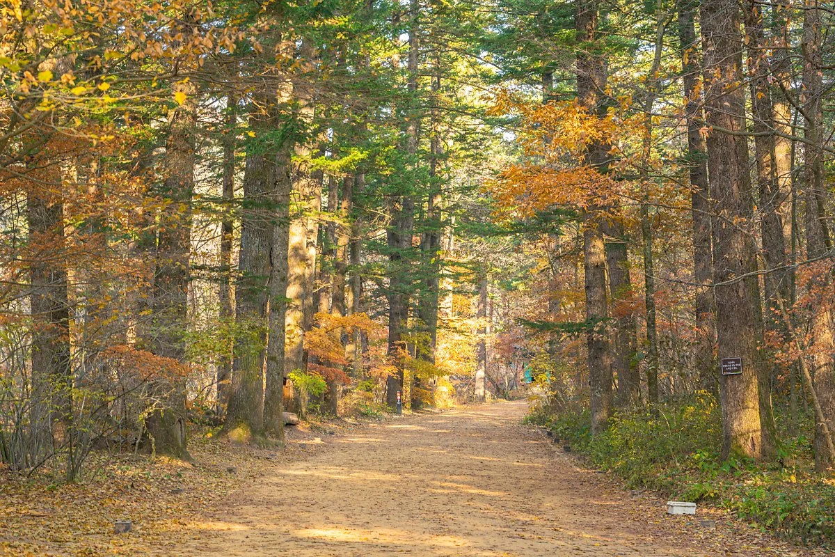 %EC%9B%94%EC%A0%95%EC%82%AC_005.jpg?type=w1200