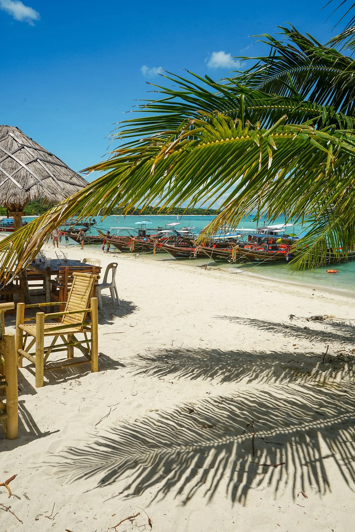 %ED%94%BC%EA%B7%B8%EC%95%84%EC%9D%BC%EB%9E%9C%EB%93%9C_%281%29.jpg?type=w1200