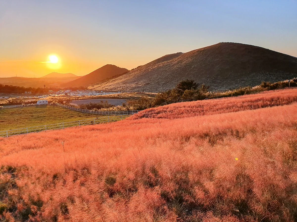 %EC%9D%B4%EB%AF%B8%EC%A7%802_%EC%83%88%EB%B3%84%EC%98%A4%EB%A6%84.jpg?type=w1200