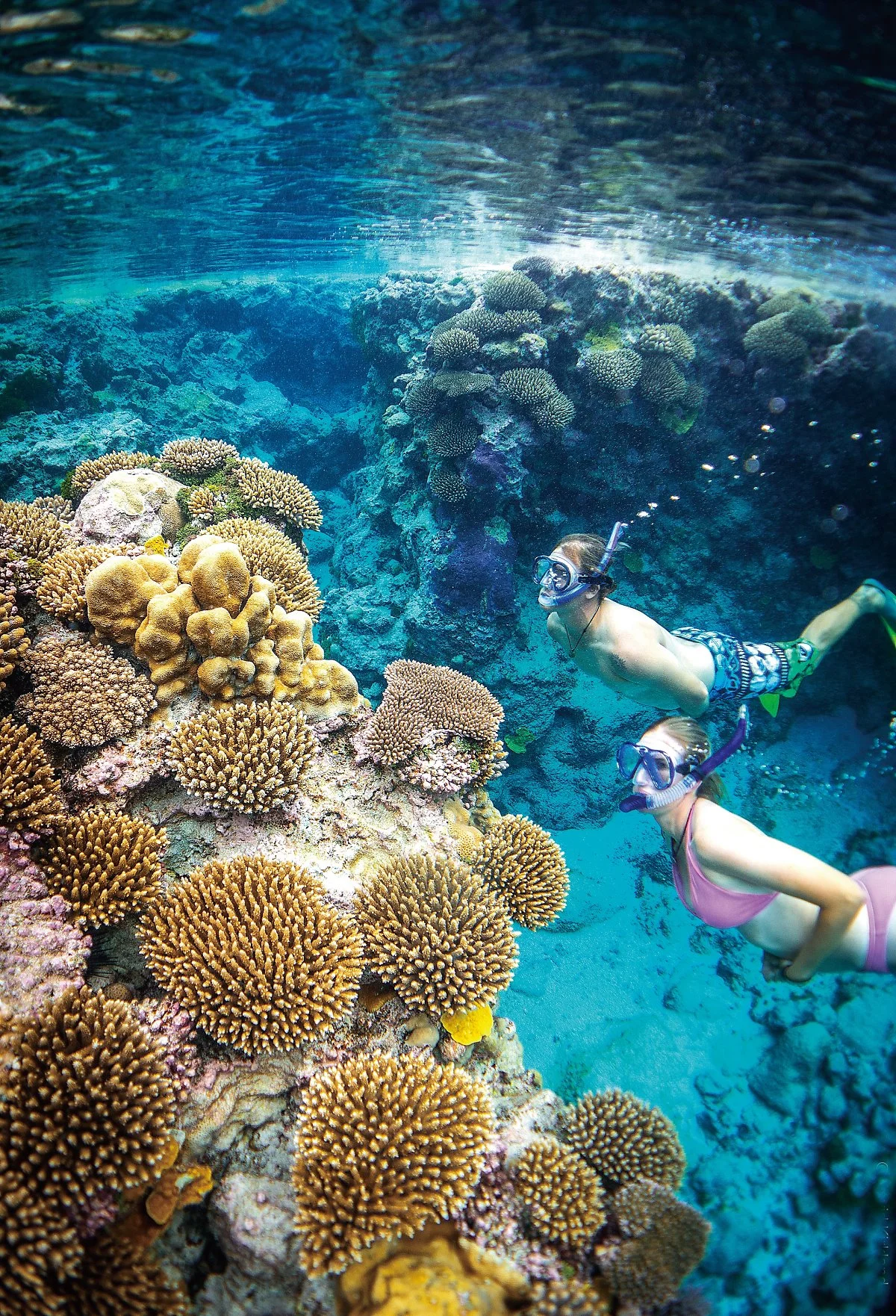 %EC%88%98%EC%A4%91%EC%8A%A4%EB%85%B8%ED%81%B4%EB%A7%81.jpg?type=w1200