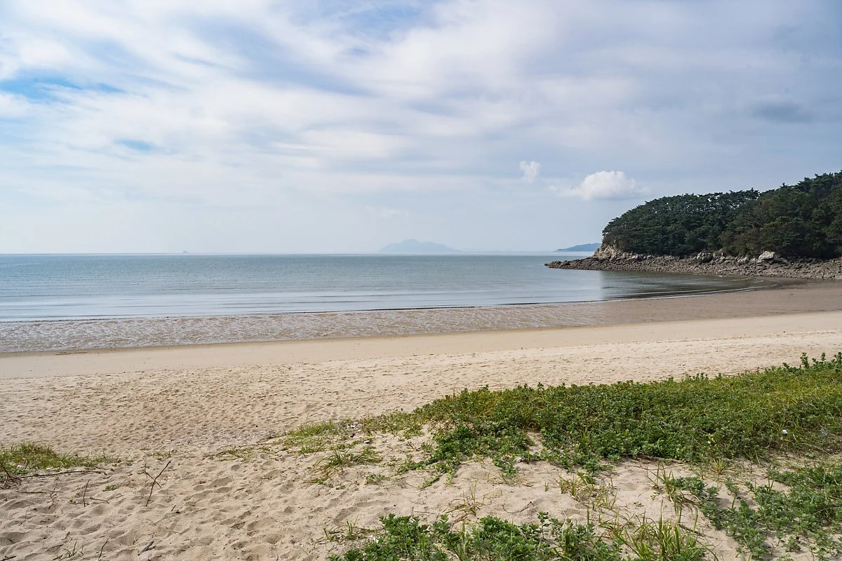 %EB%96%BC%EB%BF%8C%EB%A3%A8%ED%95%B4%EB%B3%80_%282%29.jpg?type=w1200