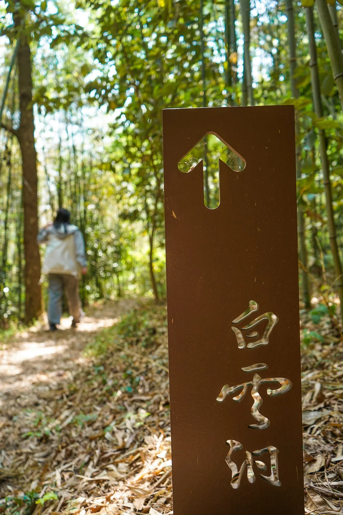 %EB%B0%B1%EC%9A%B4%EB%8F%99%EC%9B%90%EB%A6%BC_%282%29.JPG?type=w1200