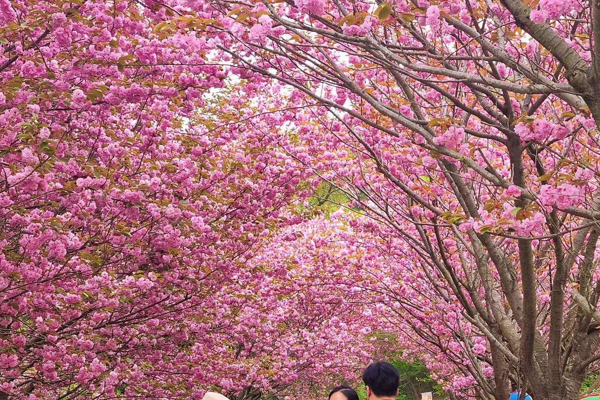 02%EB%AC%B8%EC%88%98%EC%82%AC_%281%29.jpg?type=w1200