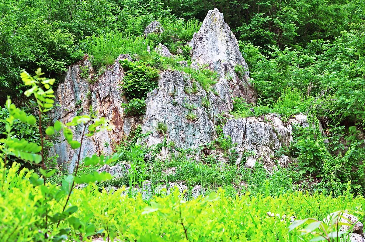 %EC%95%84%EB%AF%B8%EC%A7%80_%ED%84%B0_%EB%B6%80%EA%B7%BC%EC%97%90_%EC%9E%88%EB%8A%94_%EA%B8%80%EC%9E%90%EA%B0%80_%EC%83%88%EA%B2%A8%EC%A7%84_%EB%B0%94%EC%9C%84.JPG?type=w1200