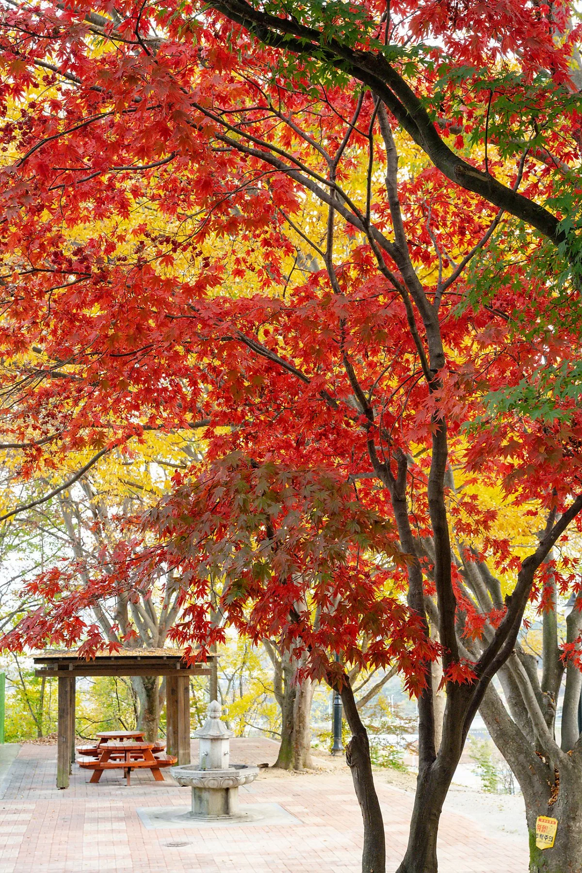 %EA%B5%90%EB%A3%A1%EC%82%B0_%EA%B5%AD%EB%AF%BC%EA%B4%80%EA%B4%91%EC%A7%80__%283%29.jpg?type=w1200