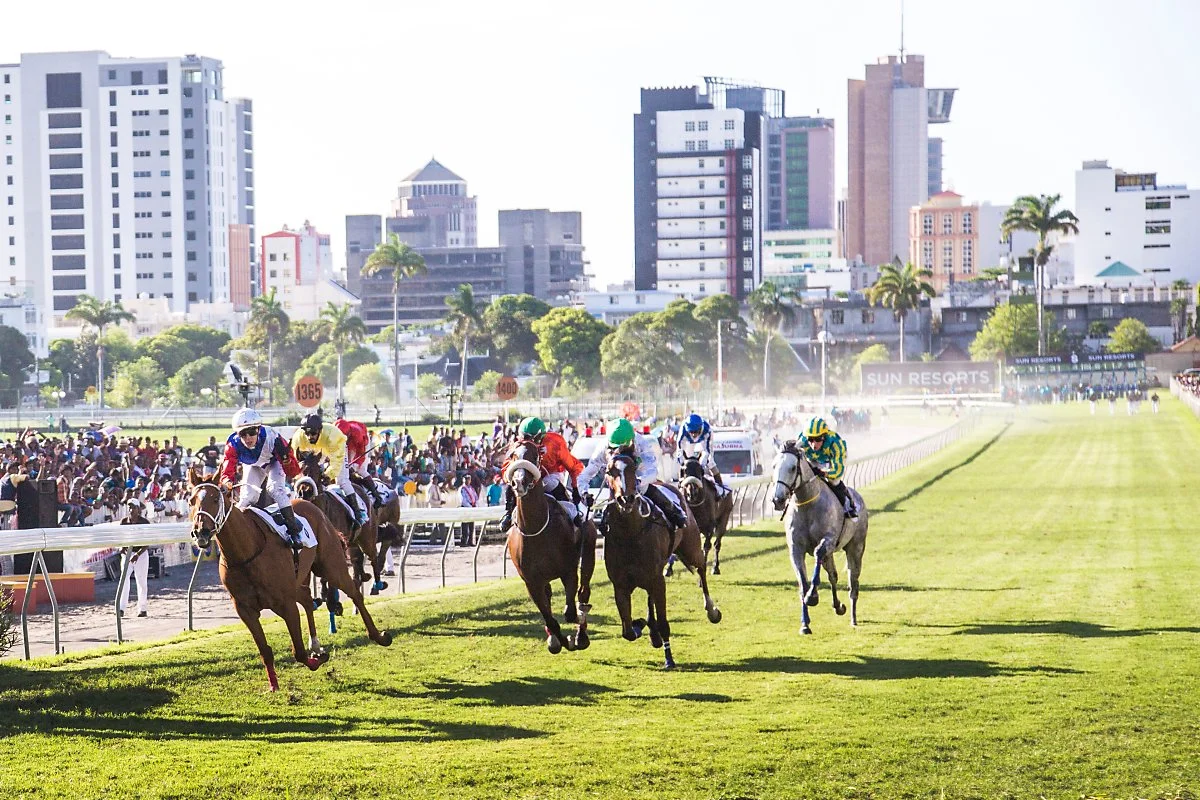 %EC%83%B9%EB%93%9C%EB%A7%88%EB%A5%B4%EC%8A%A4_%EA%B2%BD%EB%A7%88_%28Champs_de_Mars%29_%283%29.jpg?type=w1200