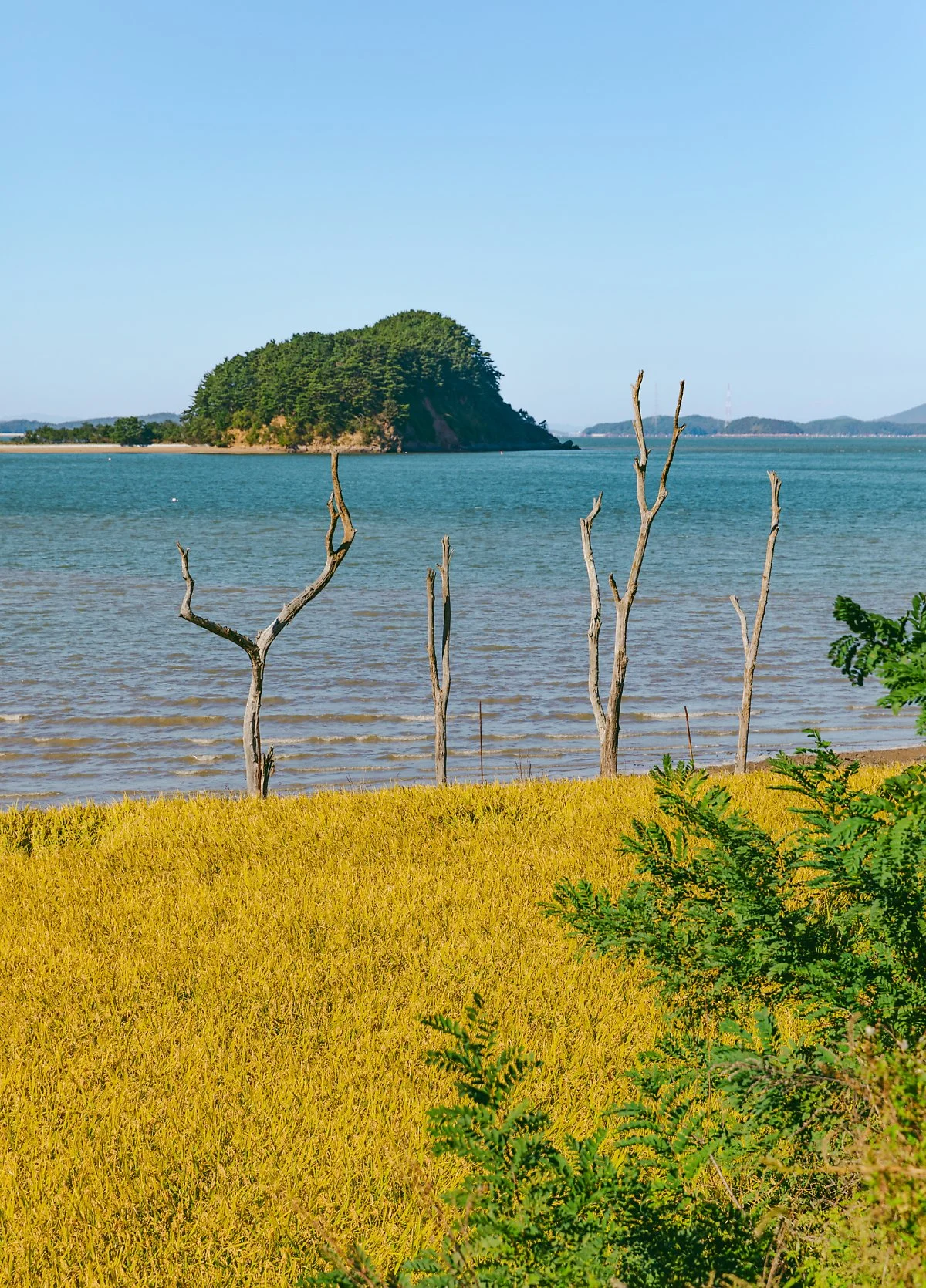 %EA%B0%95%ED%99%94%EB%82%98%EB%93%A4%EA%B8%B8_%EA%B1%B8%EC%9C%BC%EB%A9%B0_%EB%B0%94%EB%9D%BC%EB%B3%B8_%EC%95%84%EC%B0%A8%EB%8F%84.jpg?type=w1200