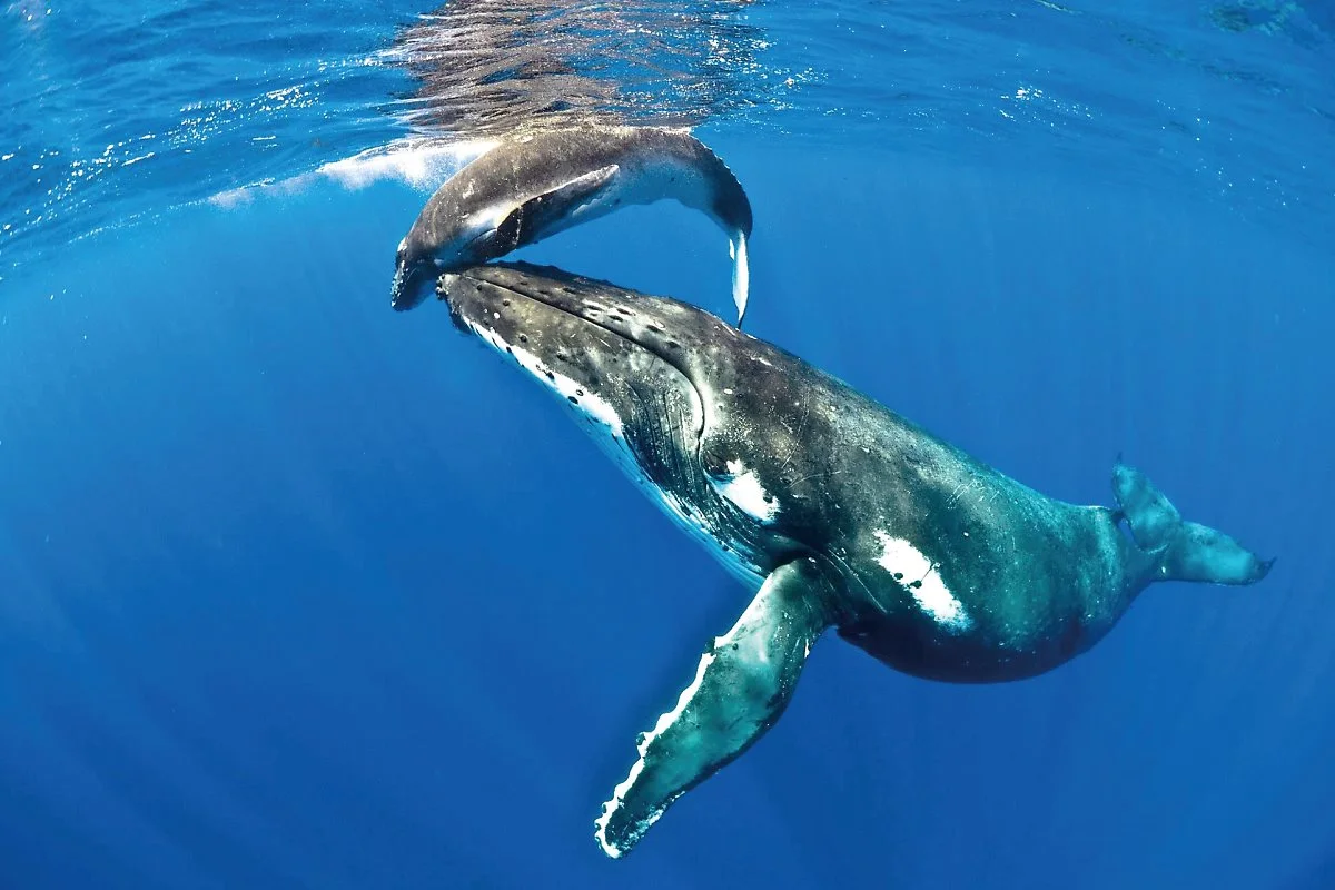 1._%EB%88%84%EC%97%90_%ED%98%B9%EB%93%B1%EA%B3%A0%EB%9E%98.jpg?type=w1200