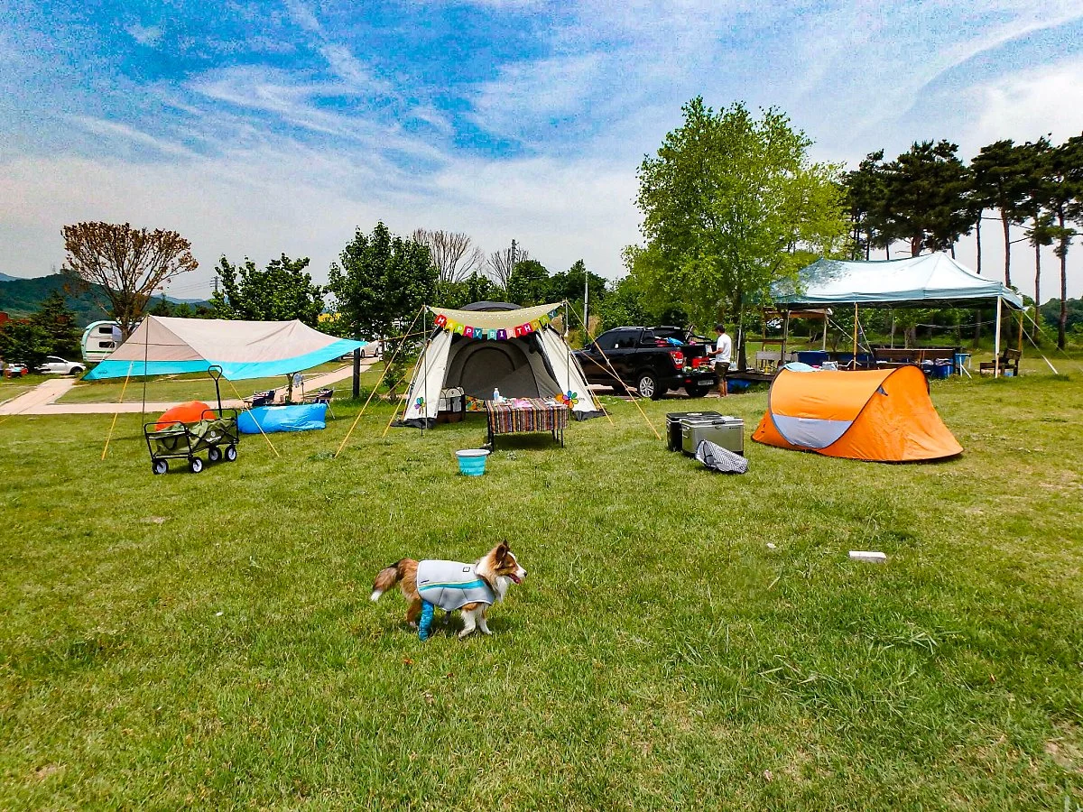 F8C5750F-0C40-4935-B910-C47D79C0C801.jpeg?type=w1200