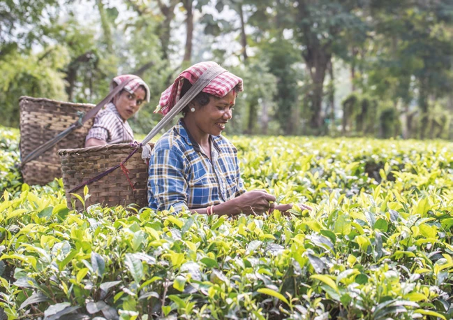 image.png?type=w1200