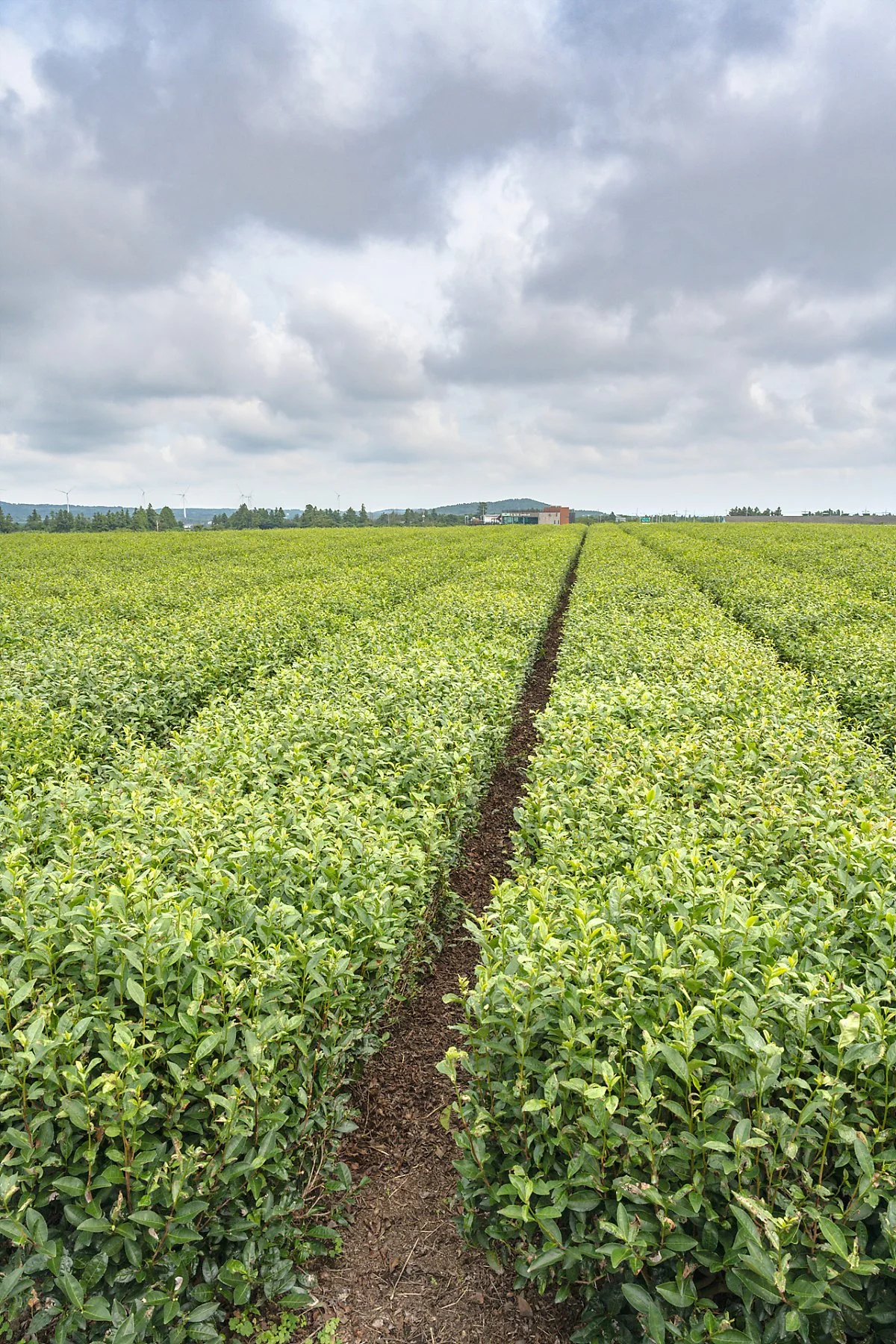 %EC%84%B1%EC%9D%8D_%EB%85%B9%EC%B0%A8%EB%B0%AD_%281%29.jpg?type=w1200