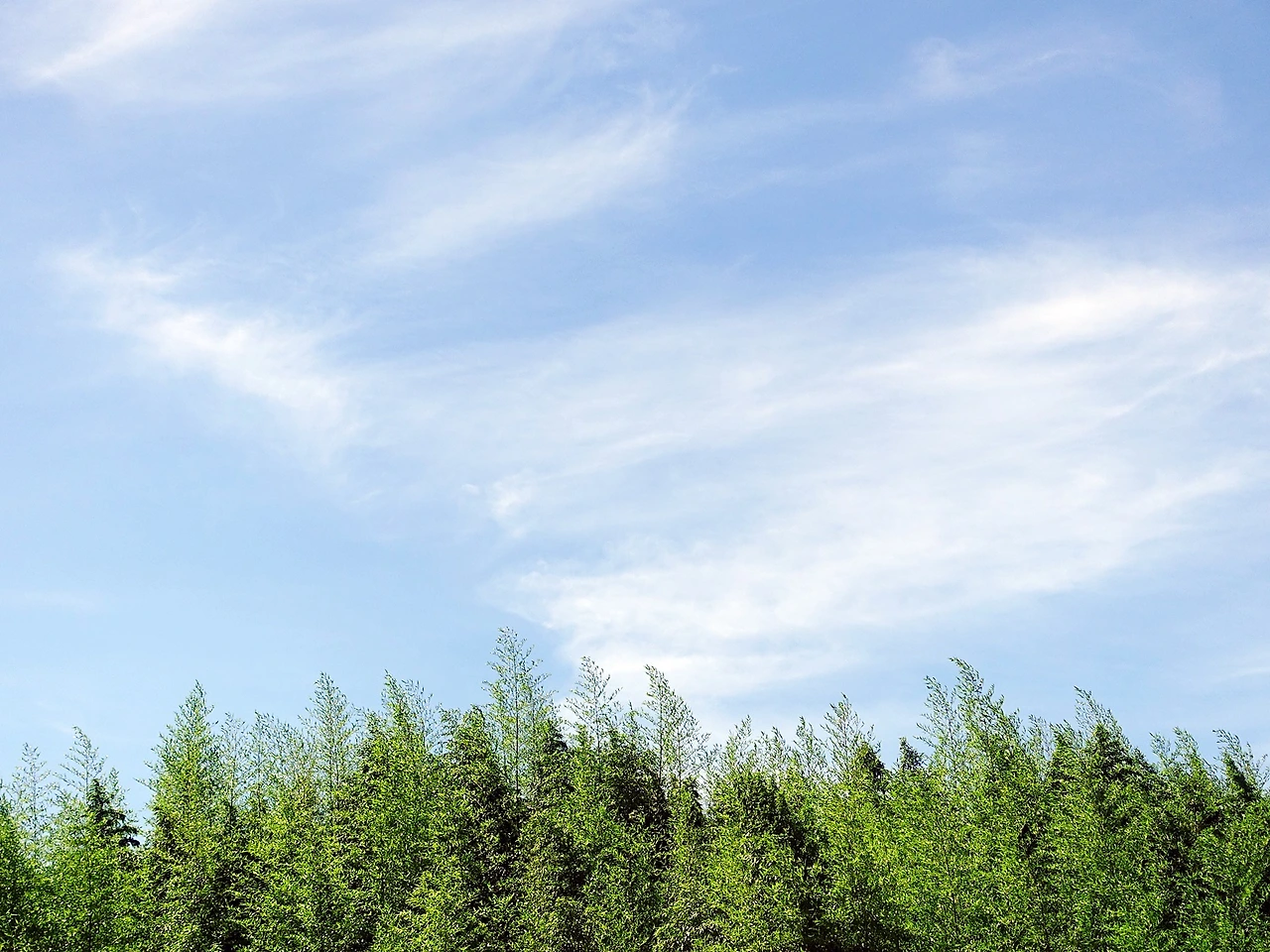 울산_태화강대공원 (3).JPG