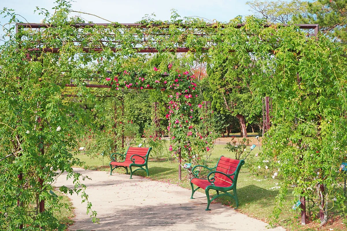 DSC04347-1.jpg?type=w1200