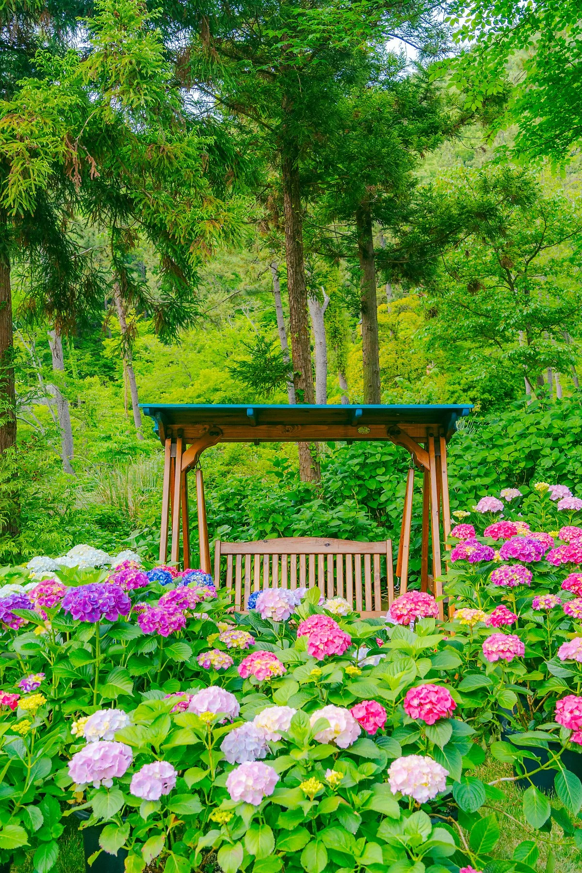 DSC03347.jpg?type=w1200