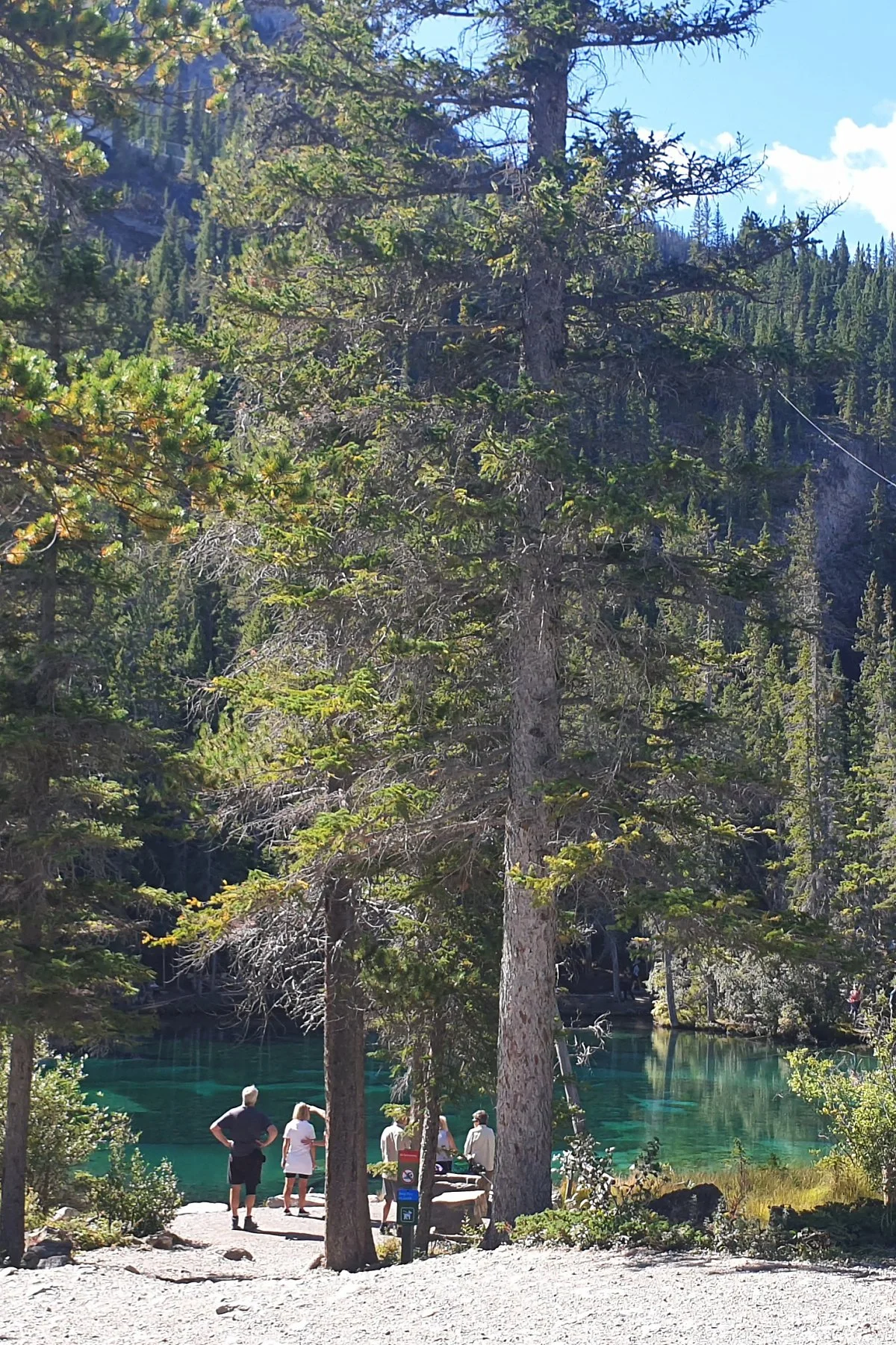 %EC%BA%94%EB%AA%A8%EC%96%B4_%EA%B7%B8%EB%9D%BC%EC%8B%9C_%EB%A0%88%EC%9D%B4%ED%81%AC_1.jpg?type=w1200