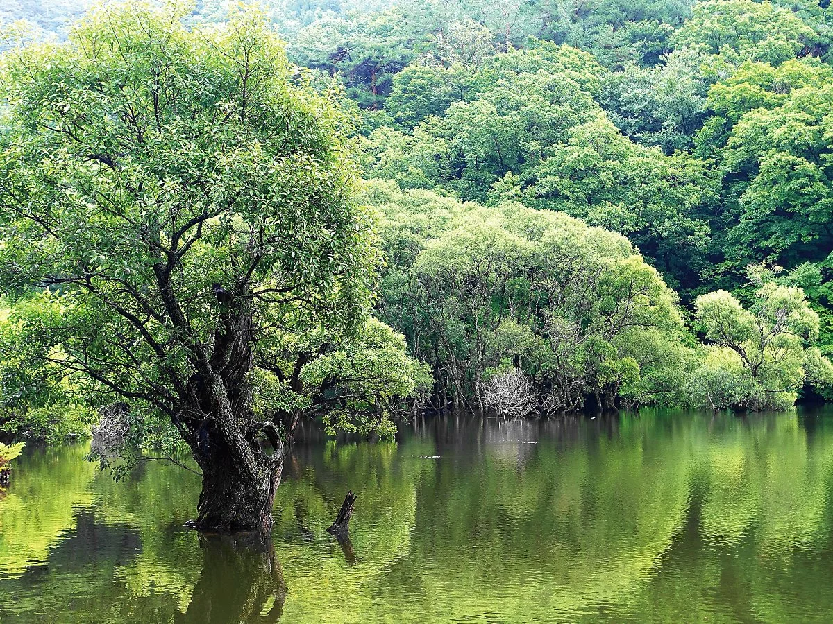 %EC%A3%BC%EC%82%B0%EC%A7%80%EB%B0%98%EC%98%81.jpg?type=w1200