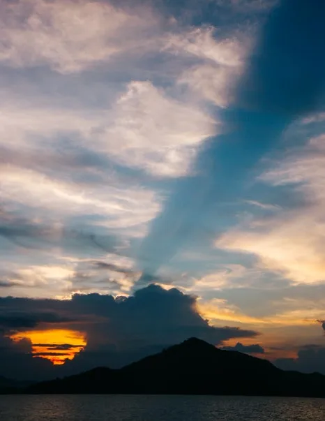 %EB%8B%8C%EB%B0%98-3-2.jpg?type=w466