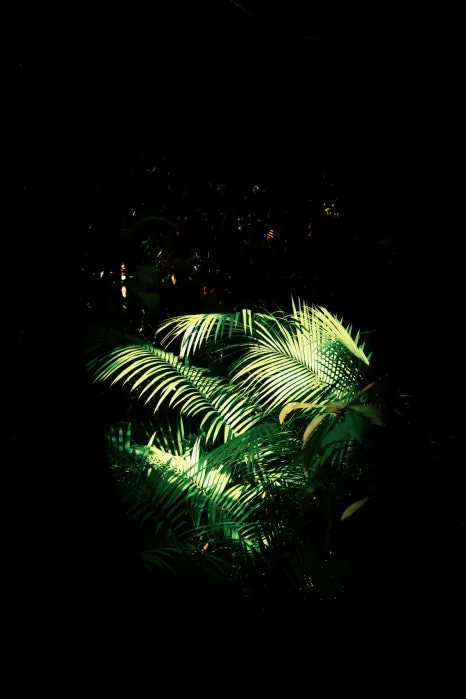 %EC%8A%A4%EC%B9%B4%EC%9D%B4%EB%A0%88%EC%9D%BC_(6).jpg?type=w466