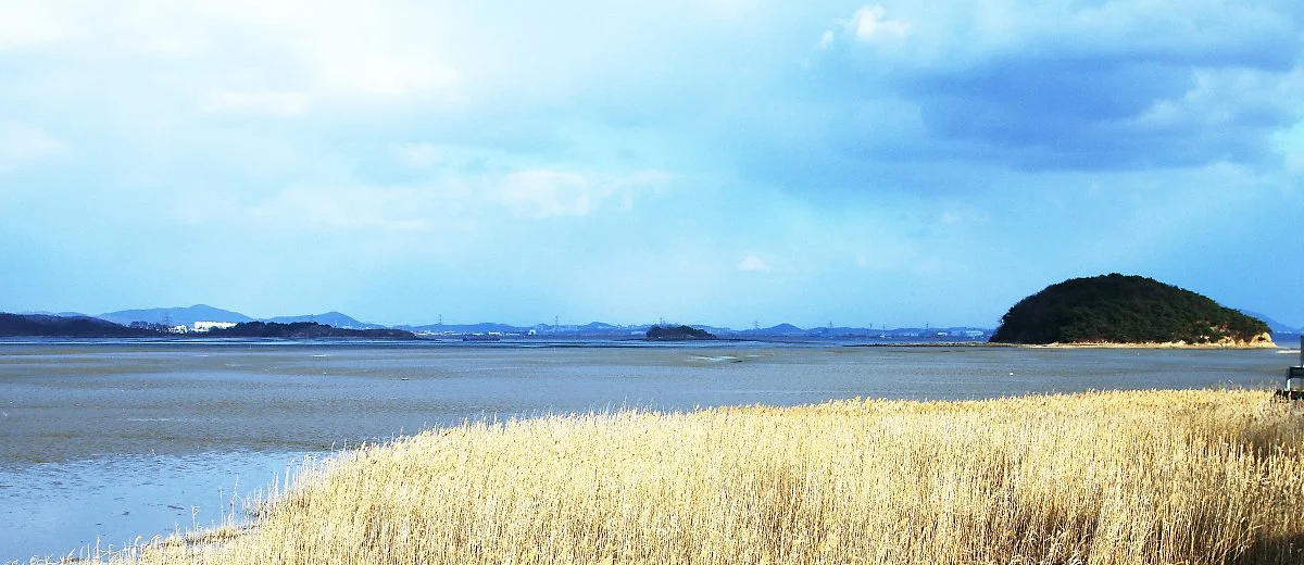 %EB%8F%99%EA%B2%80%EB%8F%84_%EA%B0%88%EB%8C%80%EC%99%80_%EB%B0%94%EB%8B%A4.JPG?type=w1200