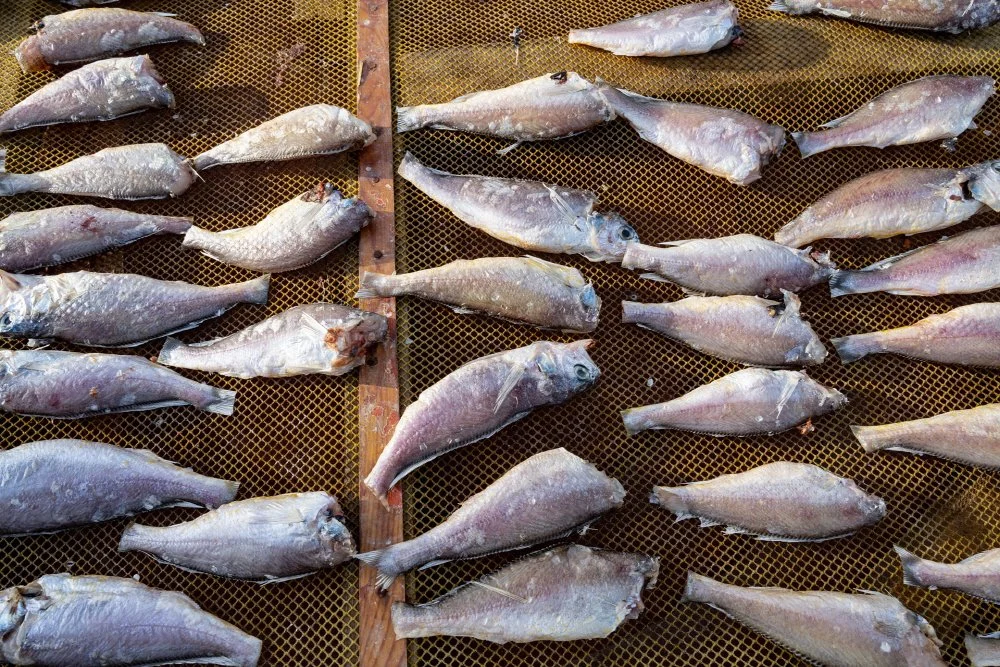 %EC%A1%B0%EA%B8%B0.jpg?type=w1200