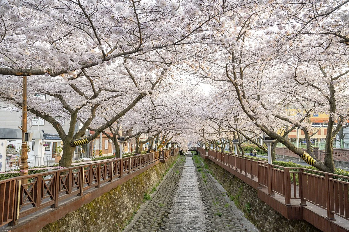 %EC%97%AC%EC%A2%8C%EC%B2%9C.jpg?type=w1200