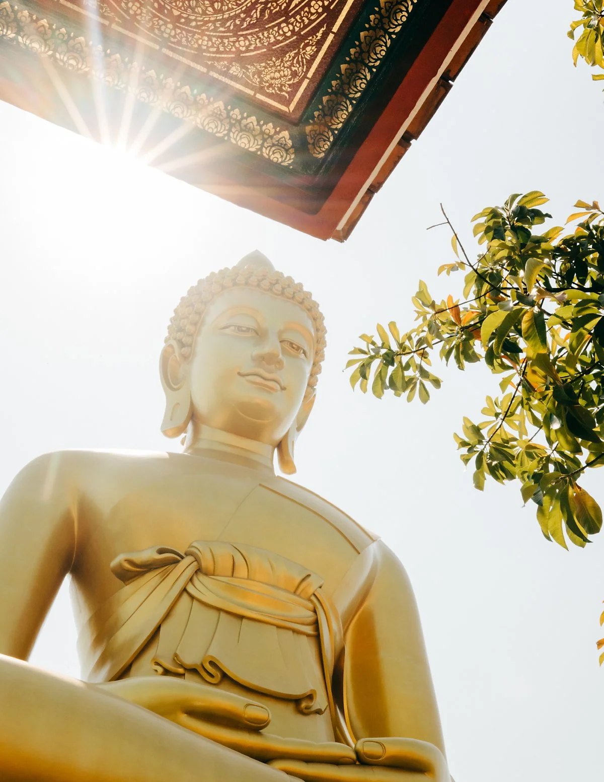 KHS_6227.jpg?type=w1200