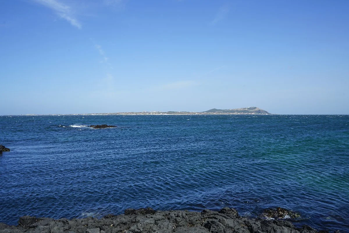 d_%EC%A2%85%EB%8B%AC%EB%A6%AC_%EB%B0%94%EB%8B%A4.jpg?type=w1200