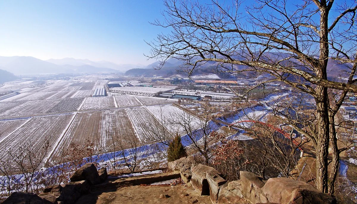 %EC%98%A5%ED%99%949%EA%B2%BD_%EC%A0%9C1%EA%B2%BD%EC%9D%B8_%EC%B2%AD%EC%84%9D%EA%B5%B4_%EC%A3%BC%EB%B3%80%EC%97%90_%EC%9E%88%EB%8A%94_%EC%B2%AD%EC%84%9D%EA%B5%B4%EC%8A%A4%EC%B9%B4%EC%9D%B4%EC%A0%84%EB%A7%9D%EB%8C%80%EC%97%90%EC%84%9C_%EB%B3%B8_%ED%92%8D.JPG?type=w1200