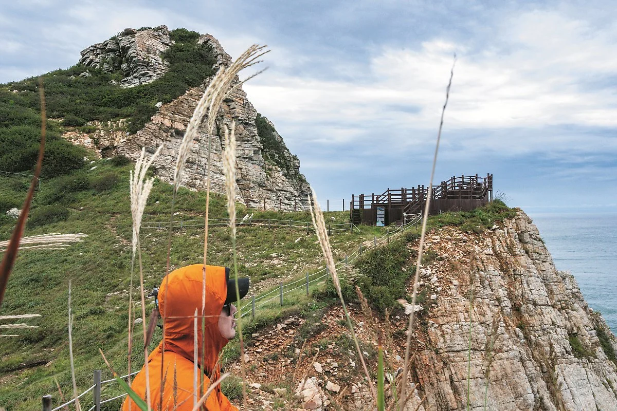 %EB%8C%80%EC%B2%AD%EB%8F%84_%2839%29%EC%84%9C%ED%92%8D%EB%B0%9B%EC%9D%B4.jpg?type=w1200