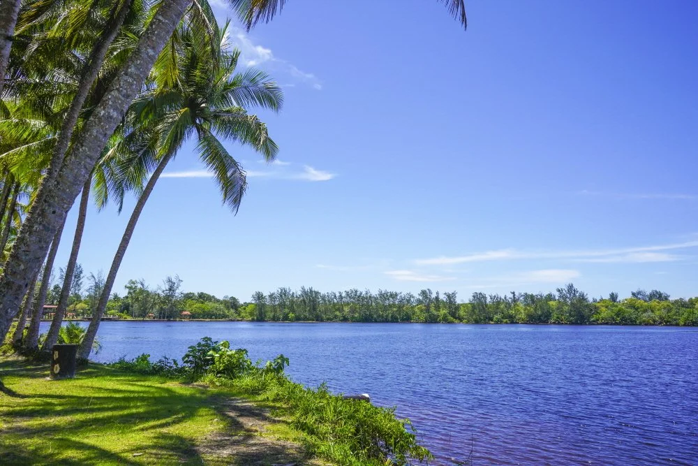 %EC%95%88%EB%91%90%ED%82%A4%ED%98%B8%EC%88%98_%282%29.JPG?type=w1200