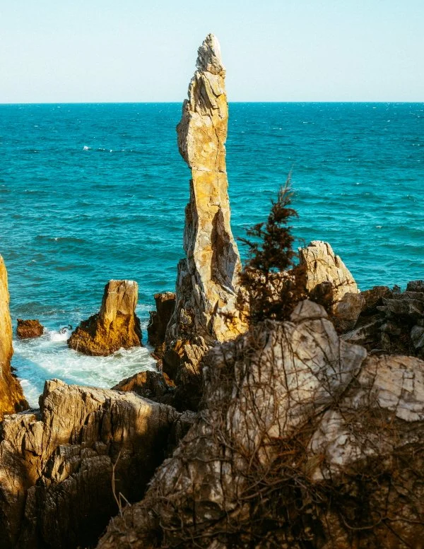 %ED%81%AC%EA%B8%B0%EB%B3%80%ED%99%98%EC%B4%9B%EB%8C%80%EB%B0%94%EC%9C%84_%281%29.jpg?type=w1200&type=w1200