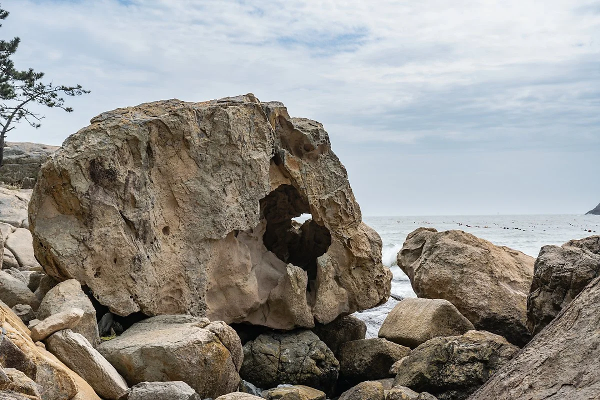 %EB%B3%B4%EA%B8%B8%EB%8F%84_%ED%98%B9%EC%84%B1%ED%83%88%EC%B6%9C%EB%B0%94%EC%9C%84_%282%29.jpg?type=w1200