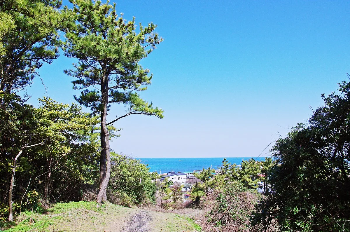 %EC%97%B0%EB%8C%80%EB%8F%99%EC%82%B0%EC%9D%84_%EC%A7%80%EB%82%98%EB%A9%B4%EC%84%9C_%EB%B0%94%EB%8B%B7%EA%B0%80_%EB%A7%88%EC%9D%84%EC%9D%B4_%EB%B3%B4%EC%9D%B4%EA%B8%B0_%EC%8B%9C%EC%9E%91%ED%95%9C%EB%8B%A4..JPG?type=w1200