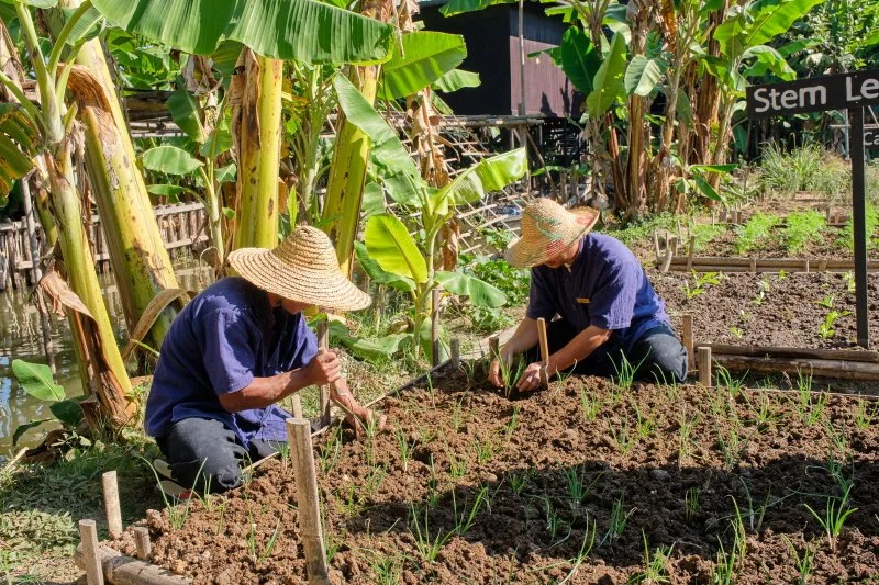 %ED%81%AC%EA%B8%B0%EB%B3%80%ED%99%98Inle_Heritage_DSF0098.jpg?type=w1200