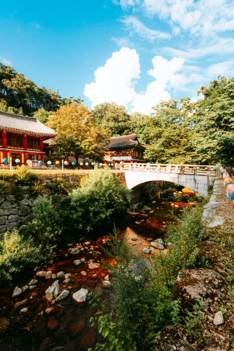 %ED%81%AC%EA%B8%B0%EB%B3%80%ED%99%98%EC%B2%AD%EC%95%94%EC%82%AC_(19).jpg?type=w466