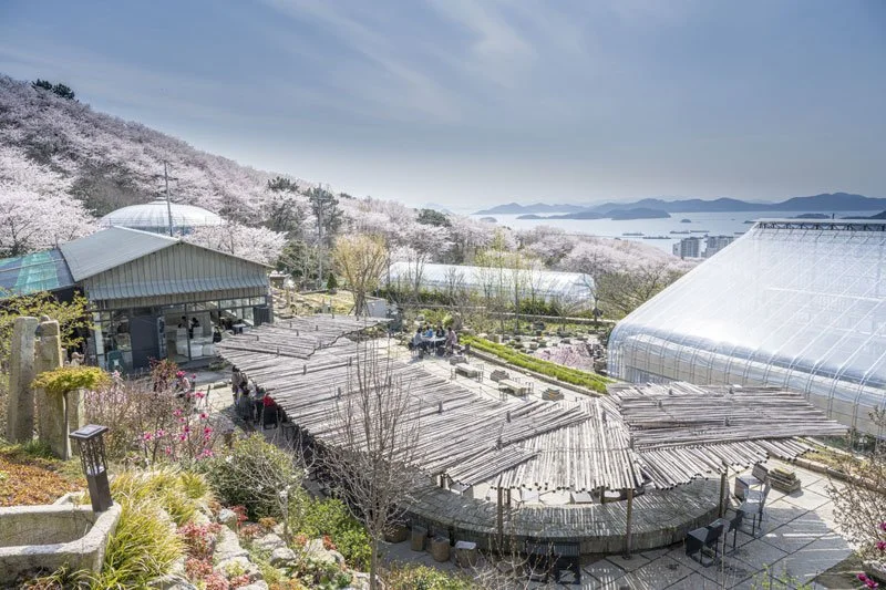 %EC%A7%84%ED%95%B4%EB%B3%B4%ED%83%80%EB%8B%89%EB%AE%A4%EC%A7%80%EC%97%84.jpg?type=w1200