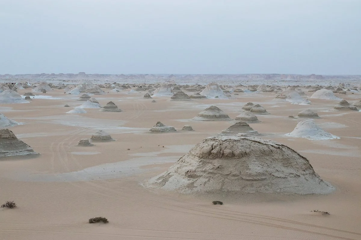 %EB%B0%B1%EC%82%AC%EB%A7%892.jpg?type=w1200