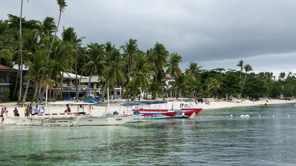 %EB%8F%84%EB%B9%84%EB%9D%BC_%ED%9B%84%EB%B3%B4_%283%29.jpg?type=w1200