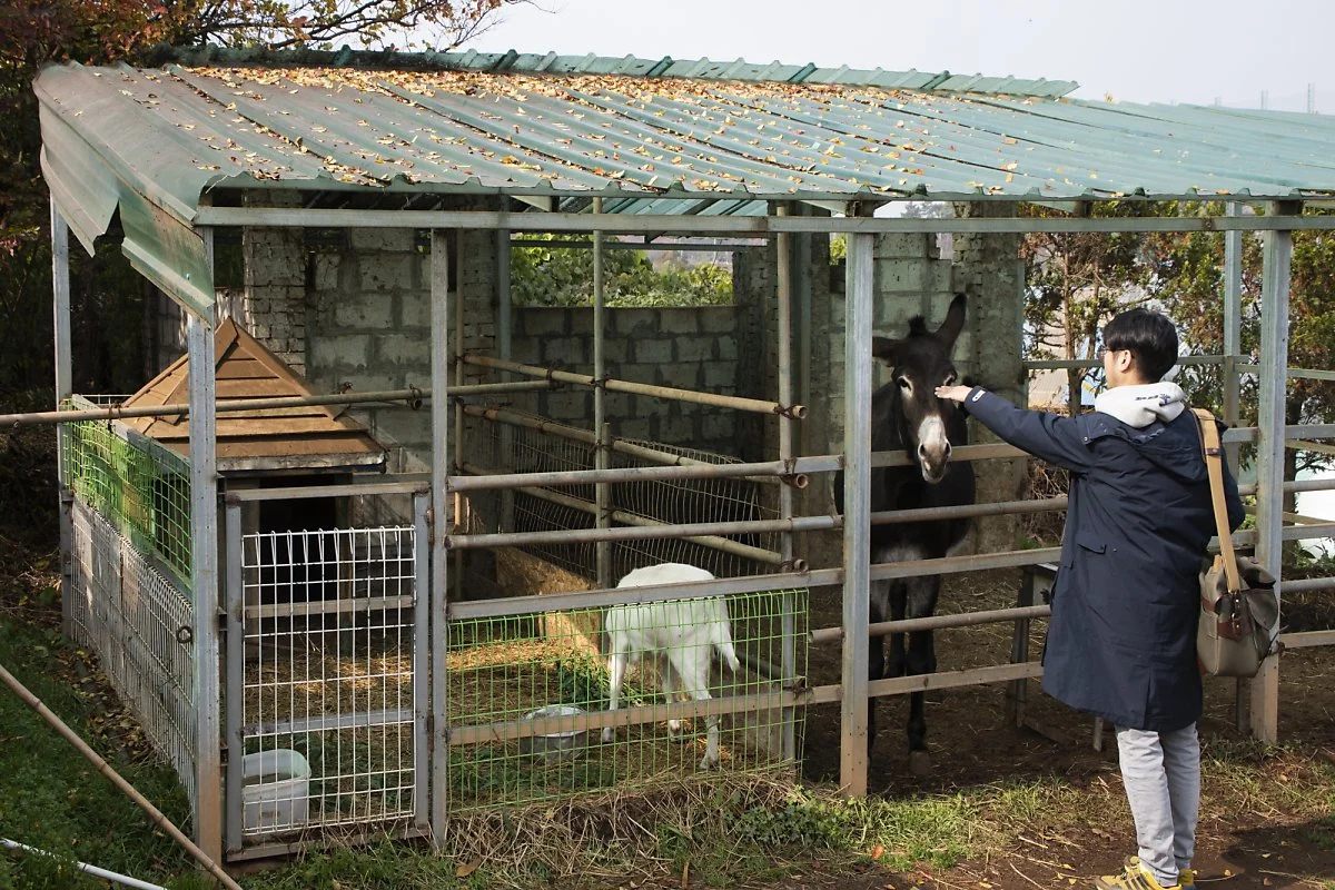 9._%ED%8C%9C%EC%B9%B4%EB%B0%80%EB%A0%88_%282%29.jpg?type=w1200