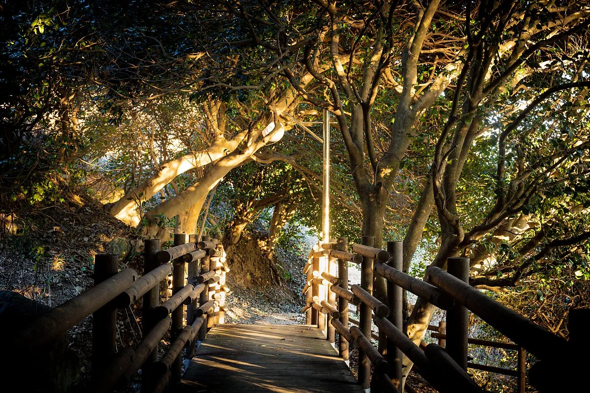 %EB%8F%99%EB%B0%B1%EB%82%98%EB%AC%B4%ED%84%B0%EB%84%90_%281%29.jpg?type=w1200